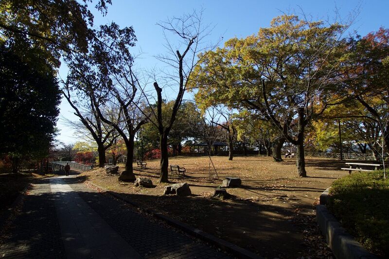 File:Sano11.jpg