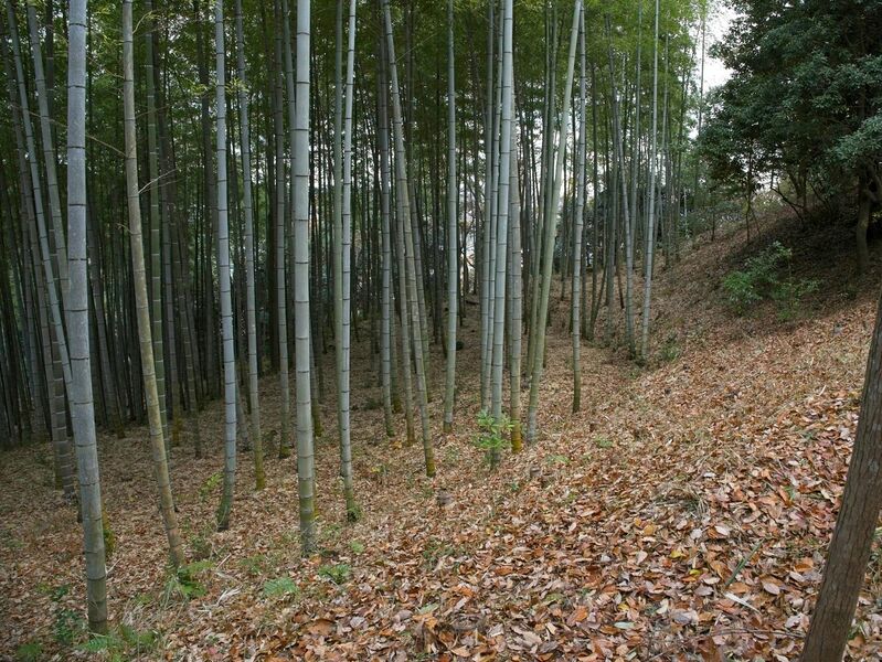 File:Eboshigata9.jpg