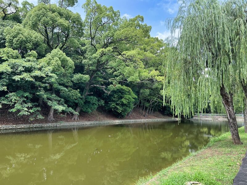 File:Himejimiddlemoat5.jpg