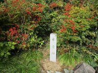 HosokawaGonsuijou (5).jpg