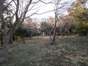 IzuOhdairashinjou07.JPG