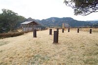 Izunagahama16.jpg