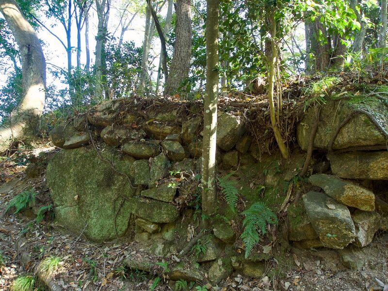 File:Niitakayama48.jpg