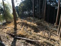 Okishikokaiii11.jpg