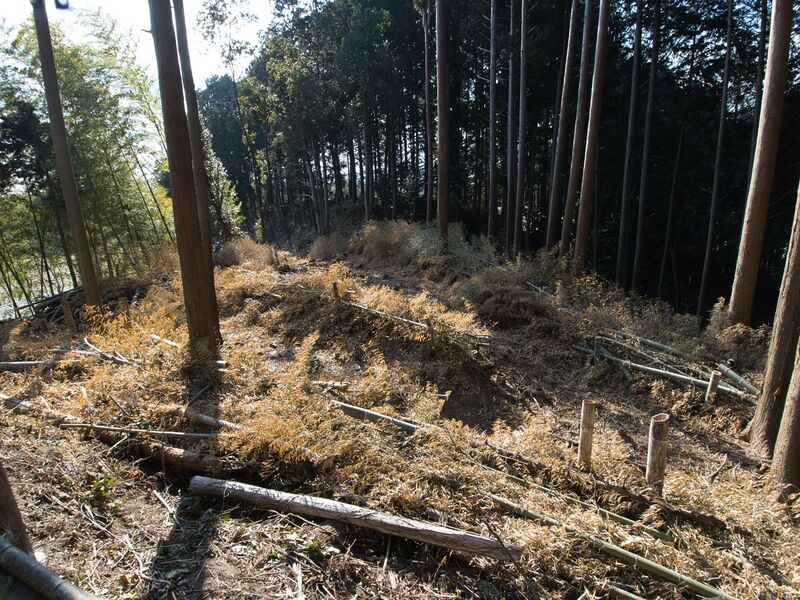 File:Okishikokaiii11.jpg
