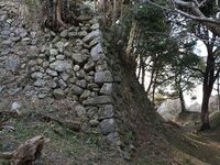 Tamaru2025 51.jpg