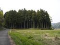 Chausuyamashizu8.jpg