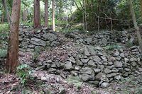 Hachioji8.jpg