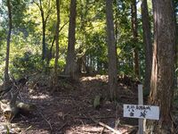 Higashigoma30.jpg
