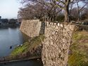 Hikone91.jpg