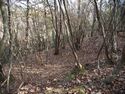 Inokurakyoto16.jpg