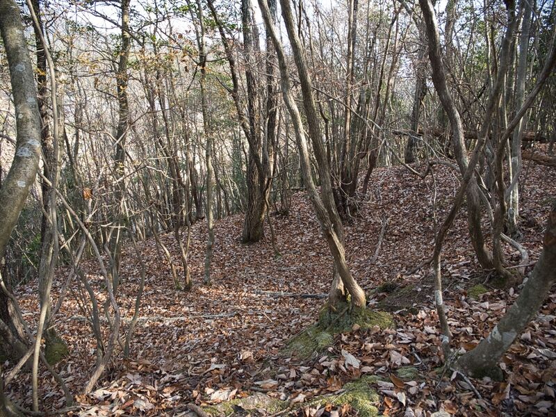 File:Inokurakyoto16.jpg