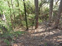ItousakaueToride (7).JPG