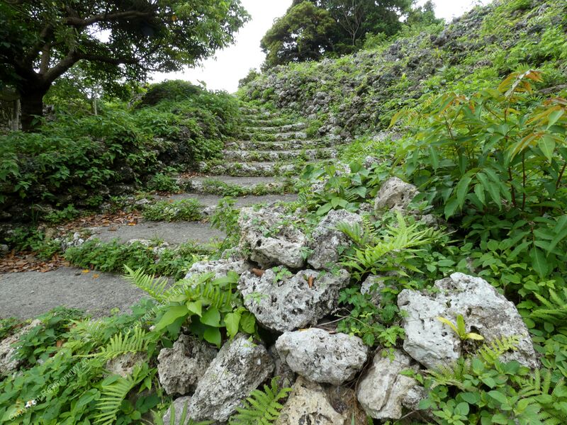 File:Shimashi-Ozato Castle Ray 3.jpg