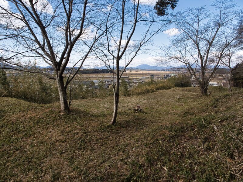 File:Tamaru2025 7.jpg