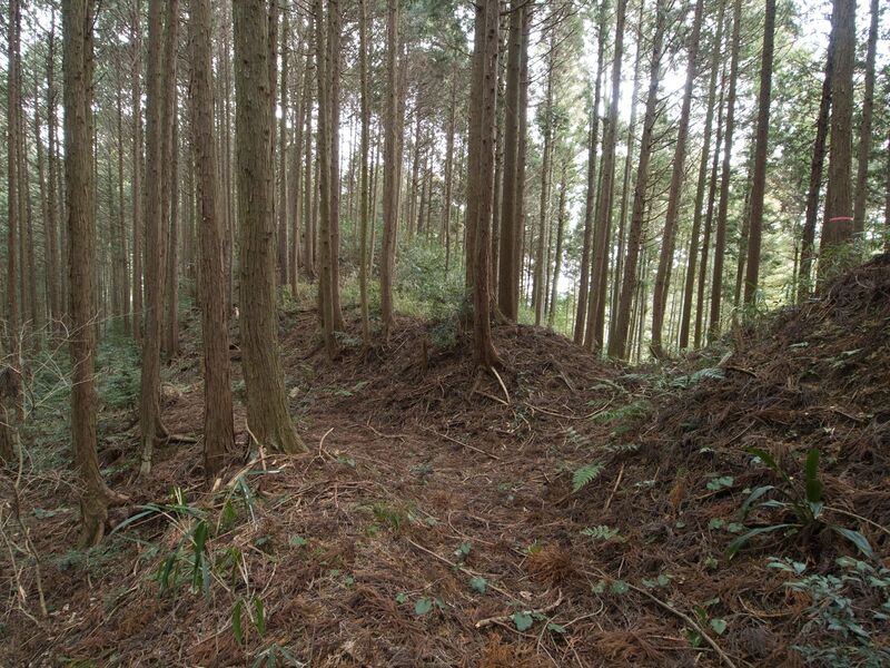File:Wadashi1koka10.jpg