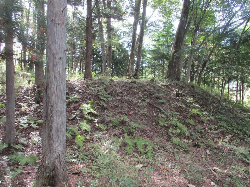 File:AzumiOhshiojou (2).jpg