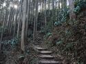 Chihayacastle4.jpg
