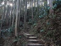 Chihayacastle4.jpg