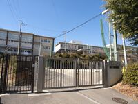 Chihayashimoakasaka5.jpg