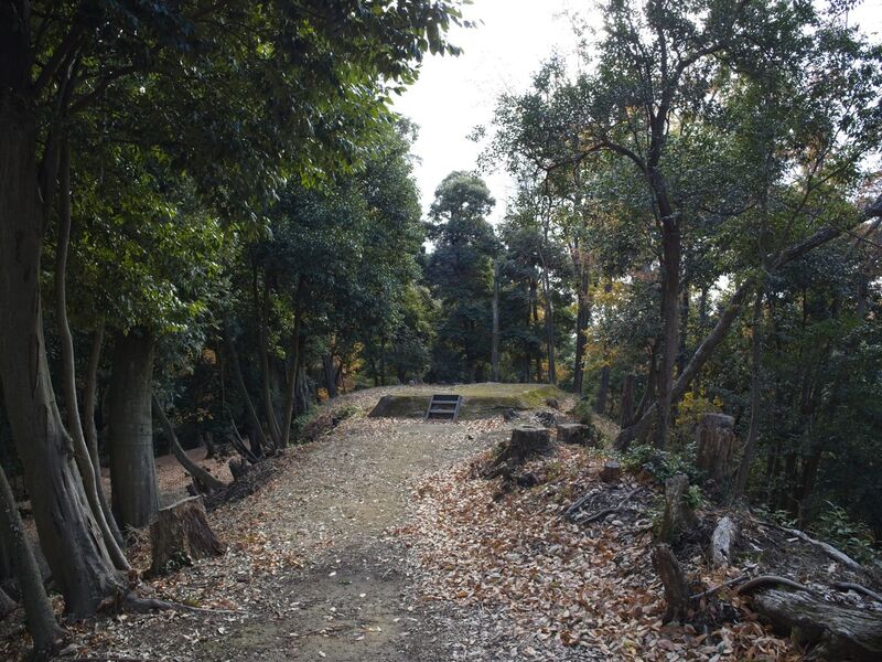 File:Eboshigata51.jpg
