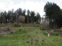 Fujita3.jpg