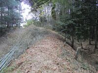 IseHiraojou005.jpg