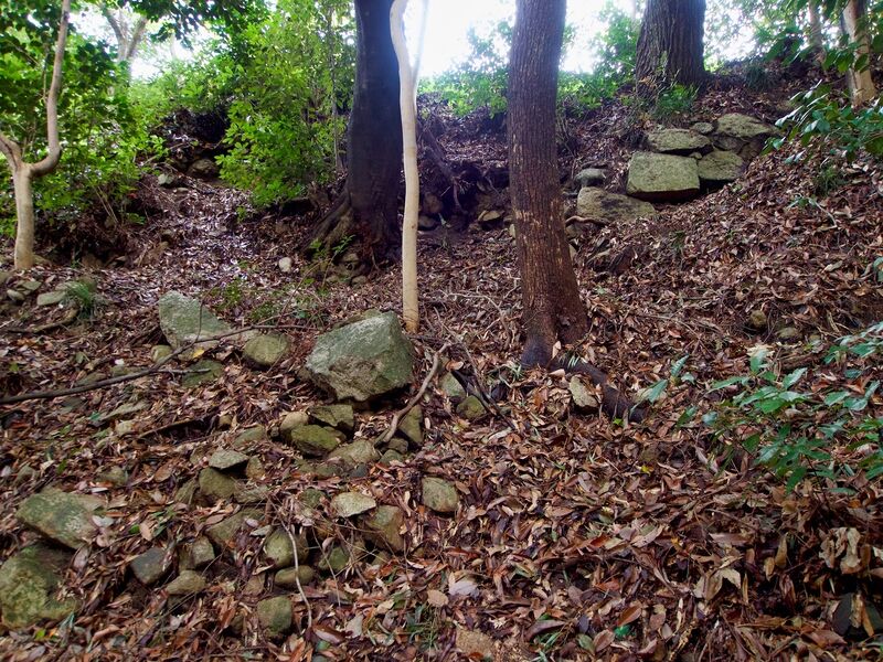 File:Kamei53.jpg