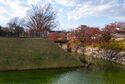 Matsumoto16.jpg