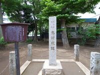 Shimura9.jpg
