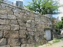 Hanakuma (10).JPG