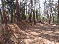 MinochiMasugatajou (9).JPG