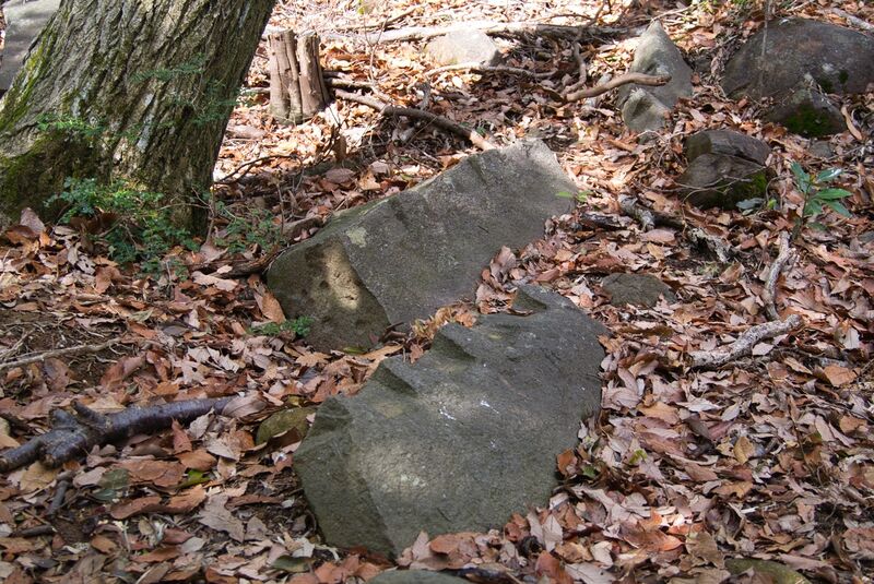 File:Usami hanareyama12.jpg