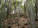 Yagyu13.jpg