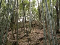 Yagyu13.jpg