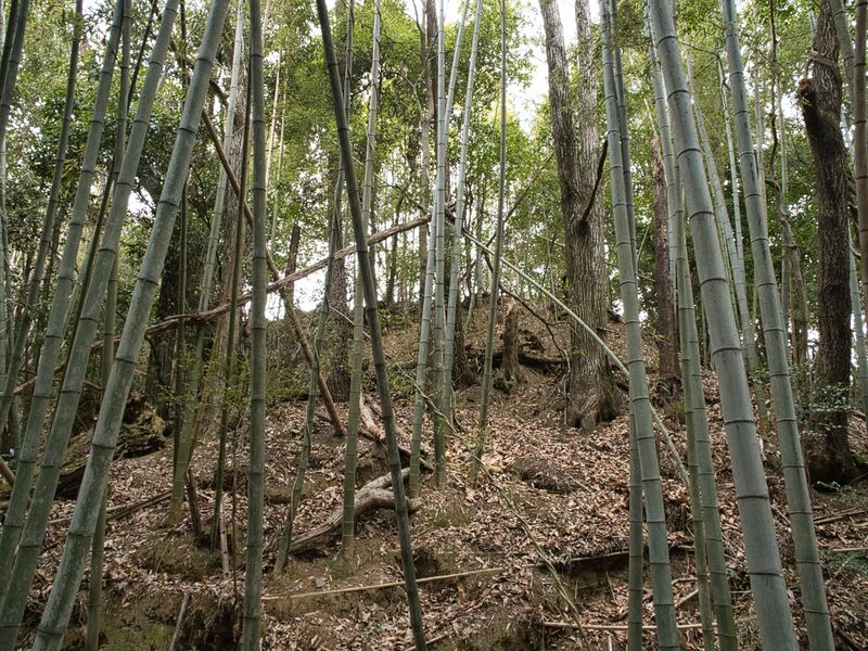 File:Yagyu13.jpg