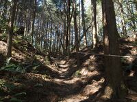 Kokashingushi11.jpg