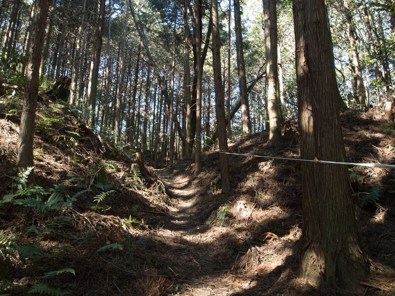 File:Kokashingushi11.jpg