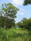 MinakuchiOkayama (10).JPG
