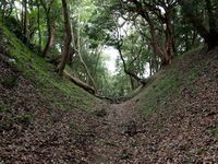 Odawara sogamae42.jpg