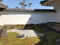 Sonobe6.jpg