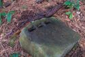 Usami nakoyama quarry32.jpg