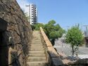 Hanakuma (7).JPG
