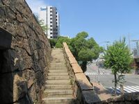 Hanakuma (7).JPG