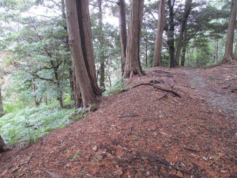 File:Iinoyajou (25).jpg
