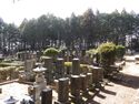 InaMinowajou (2).JPG