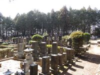 InaMinowajou (2).JPG