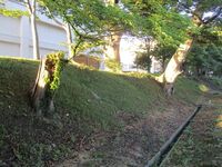 Kamegasakijou (1).JPG