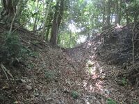 Kukurijou40.JPG