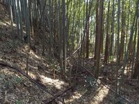 Minowa2.jpg